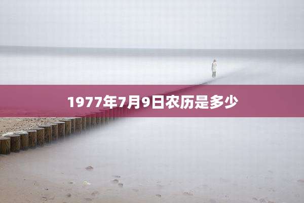 1977年7月9日农历是多少