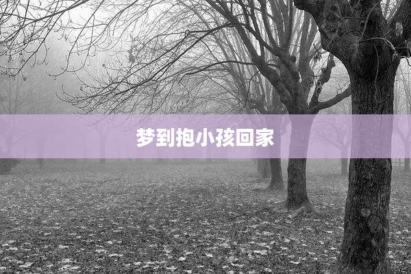 梦到抱小孩回家