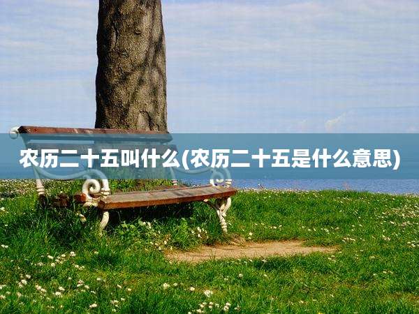 农历二十五叫什么(农历二十五是什么意思)