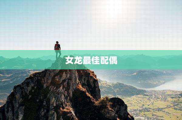 女龙最佳配偶
