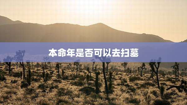本命年是否可以去扫墓