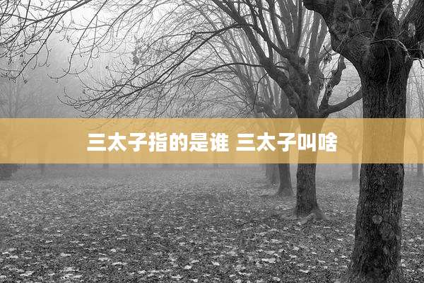 三太子指的是谁 三太子叫啥
