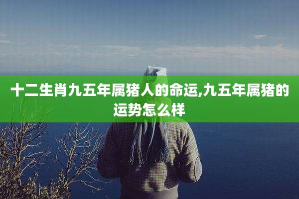 十二生肖九五年属猪人的命运,九五年属猪的运势怎么样