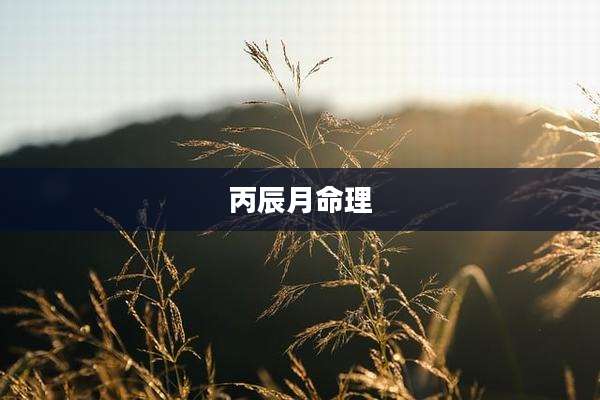 丙辰月命理