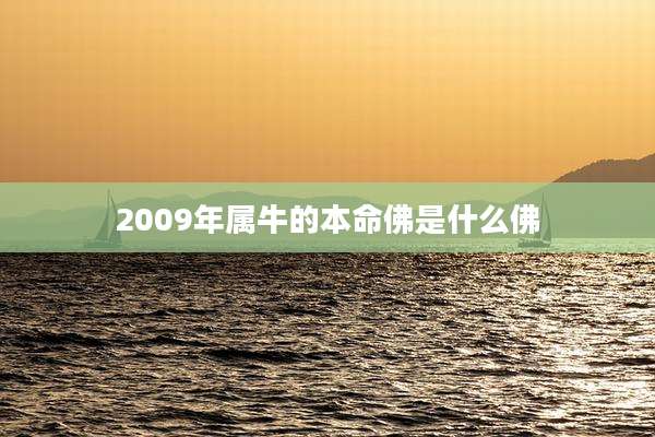 2009年属牛的本命佛是什么佛