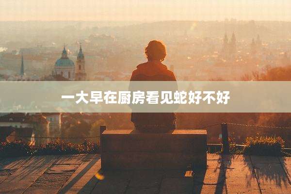 一大早在厨房看见蛇好不好