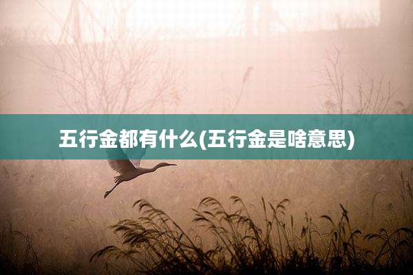 五行金都有什么(五行金是啥意思)