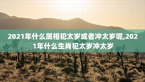 2021年什么属相犯太岁或者冲太岁呢,2021年什么生肖犯太岁冲太岁