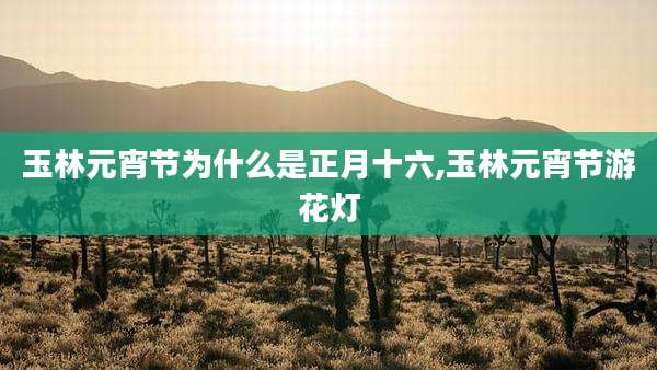 玉林元宵节为什么是正月十六,玉林元宵节游花灯