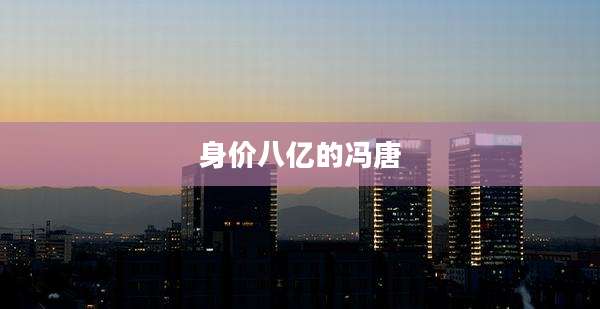 身价八亿的冯唐