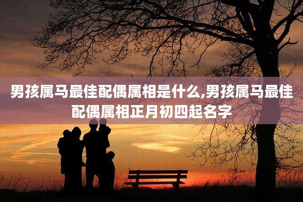 男孩属马最佳配偶属相是什么,男孩属马最佳配偶属相正月初四起名字