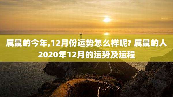 属鼠的今年,12月份运势怎么样呢? 属鼠的人2020年12月的运势及运程