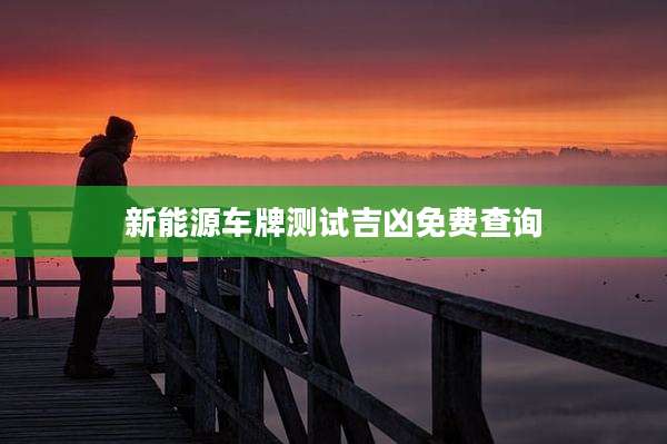 新能源车牌测试吉凶免费查询