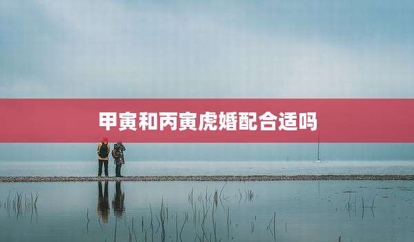 甲寅和丙寅虎婚配合适吗