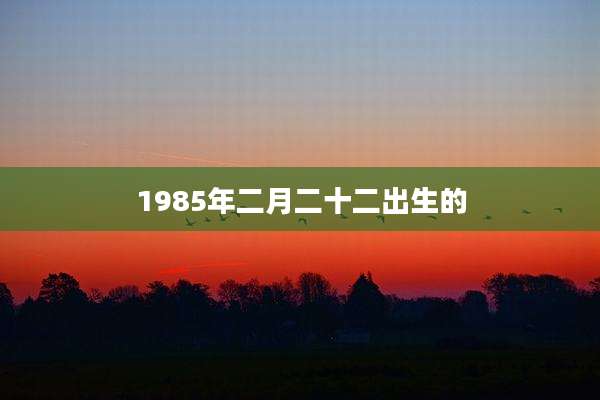 1985年二月二十二出生的