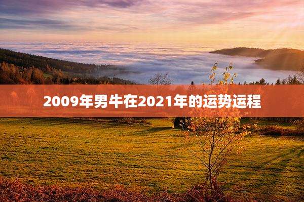 2009年男牛在2021年的运势运程