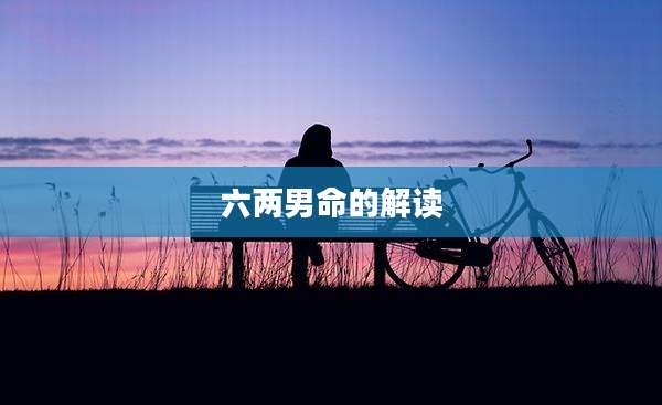 六两男命的解读
