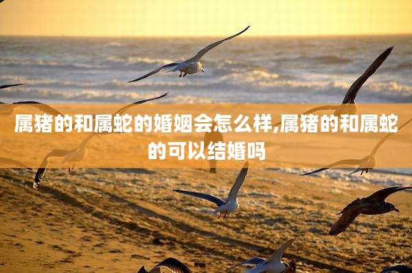 属猪的和属蛇的婚姻会怎么样,属猪的和属蛇的可以结婚吗