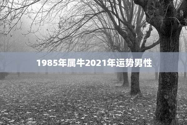 1985年属牛2021年运势男性