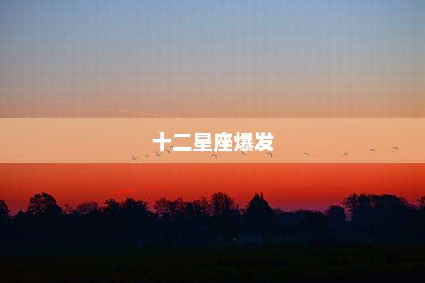 十二星座爆发
