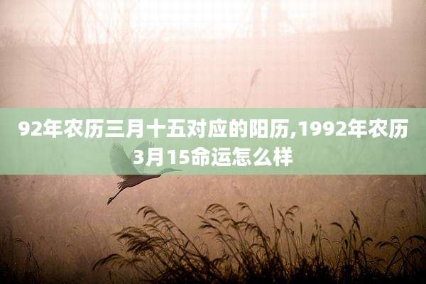 92年农历三月十五对应的阳历,1992年农历3月15命运怎么样