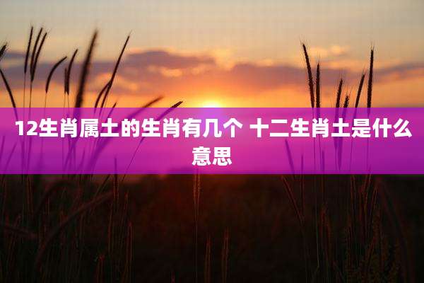 12生肖属土的生肖有几个 十二生肖土是什么意思