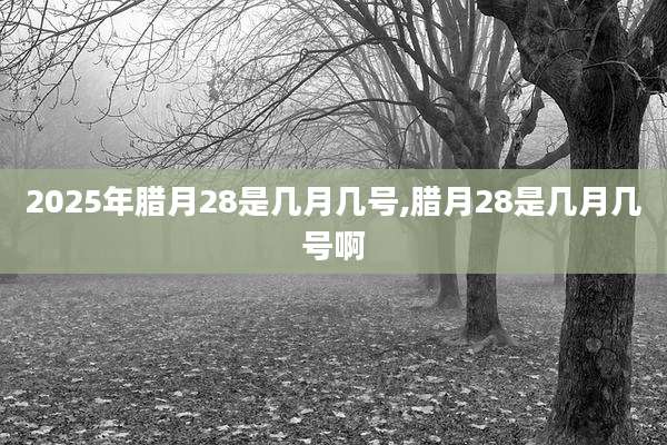 2025年腊月28是几月几号,腊月28是几月几号啊