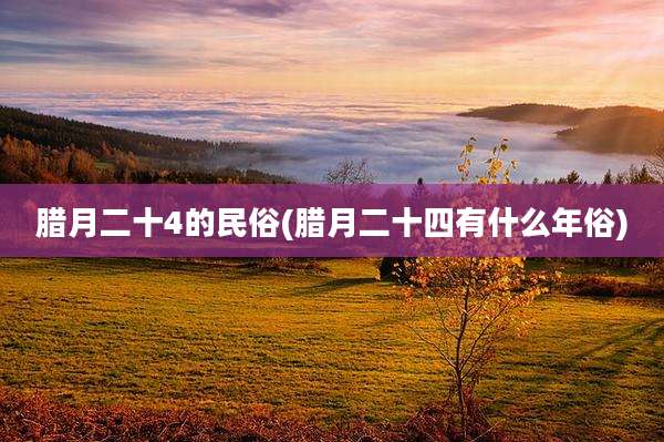 腊月二十4的民俗(腊月二十四有什么年俗)