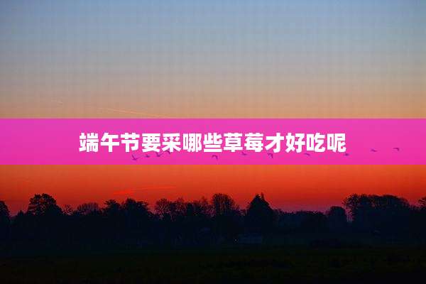 端午节要采哪些草莓才好吃呢