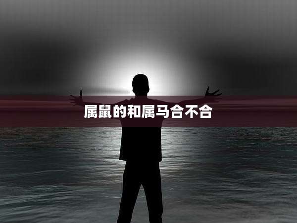 属鼠的和属马合不合