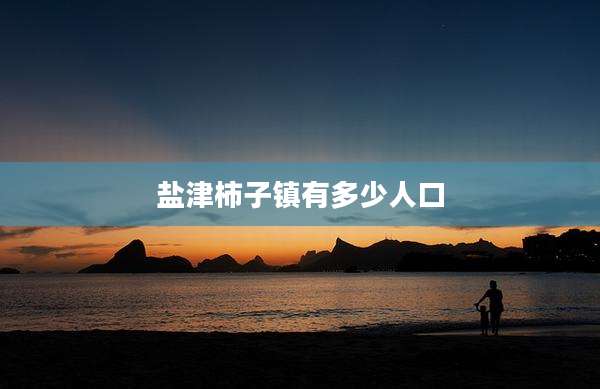 盐津柿子镇有多少人口