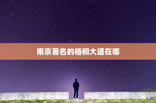 南京著名的梧桐大道在哪
