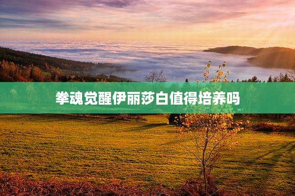 拳魂觉醒伊丽莎白值得培养吗