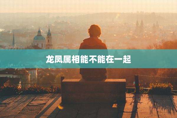 龙凤属相能不能在一起