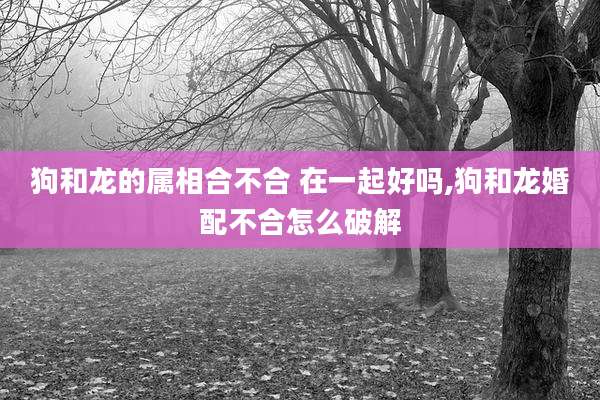 狗和龙的属相合不合 在一起好吗,狗和龙婚配不合怎么破解