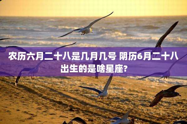 农历六月二十八是几月几号 阴历6月二十八出生的是啥星座?