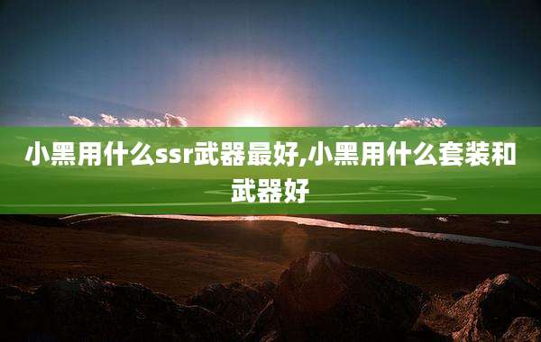 小黑用什么ssr武器最好,小黑用什么套装和武器好