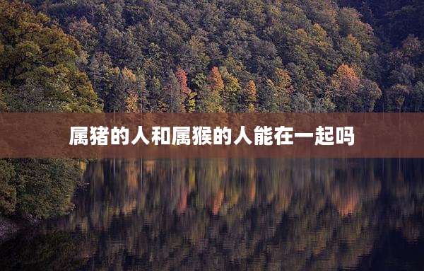 属猪的人和属猴的人能在一起吗