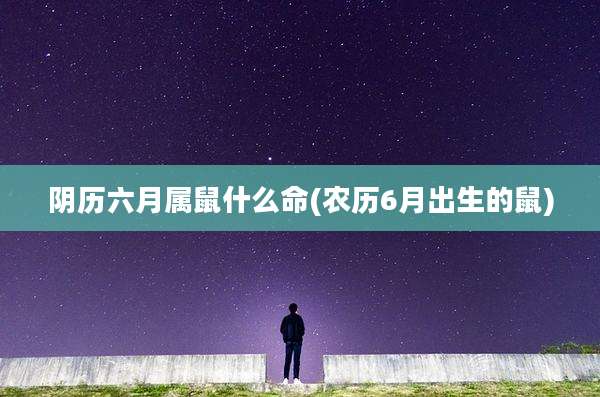 阴历六月属鼠什么命(农历6月出生的鼠)