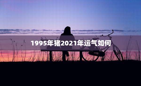 1995年猪2021年运气如何