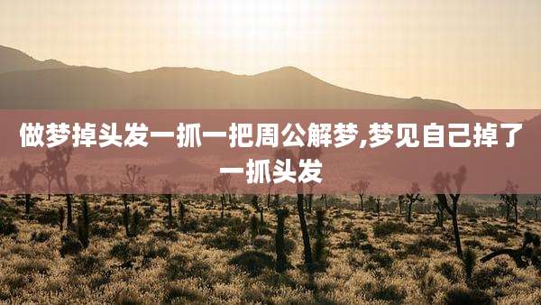 做梦掉头发一抓一把周公解梦,梦见自己掉了一抓头发