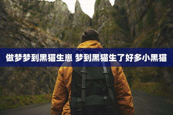 做梦梦到黑猫生崽 梦到黑猫生了好多小黑猫