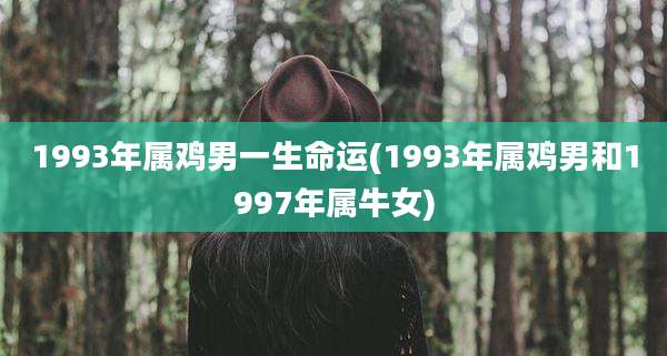 1993年属鸡男一生命运(1993年属鸡男和1997年属牛女)
