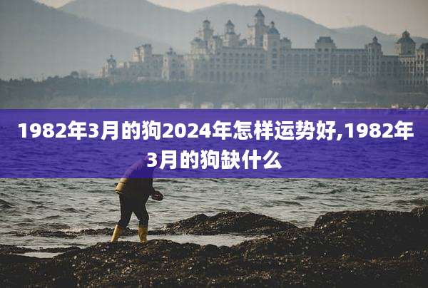 1982年3月的狗2024年怎样运势好,1982年3月的狗缺什么