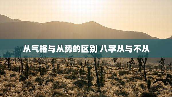 从气格与从势的区别 八字从与不从