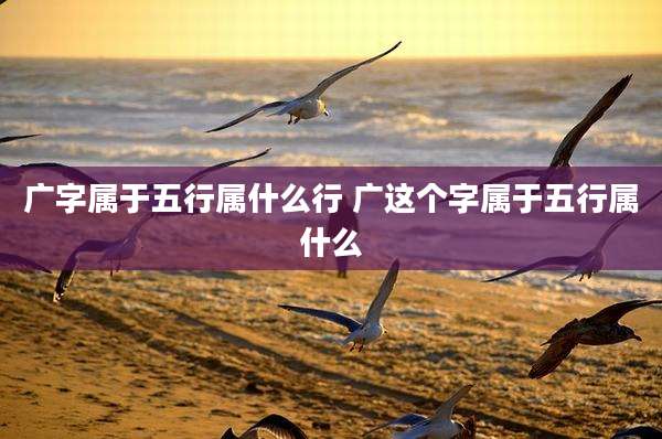 广字属于五行属什么行 广这个字属于五行属什么