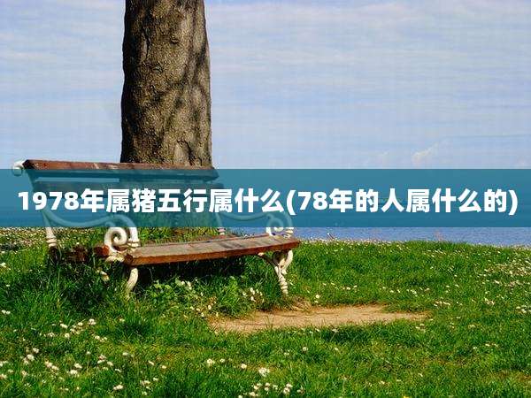 1978年属猪五行属什么(78年的人属什么的)