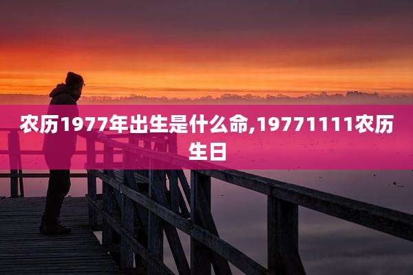农历1977年出生是什么命,19771111农历生日