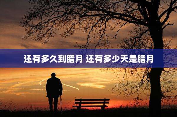 还有多久到腊月 还有多少天是腊月