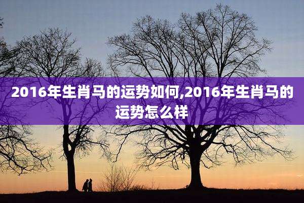 2016年生肖马的运势如何,2016年生肖马的运势怎么样